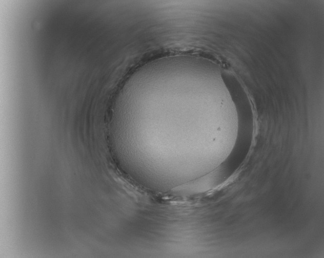 X0000067470961200604281850