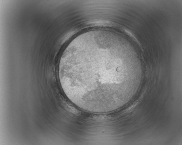 X0000067470970200604281850