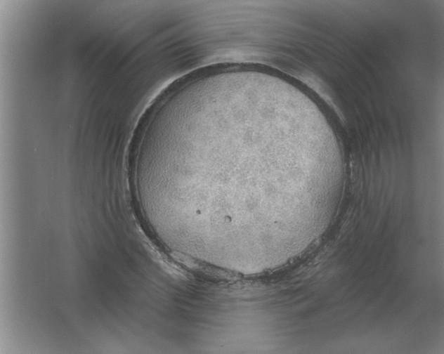 X0000067470972200604281850