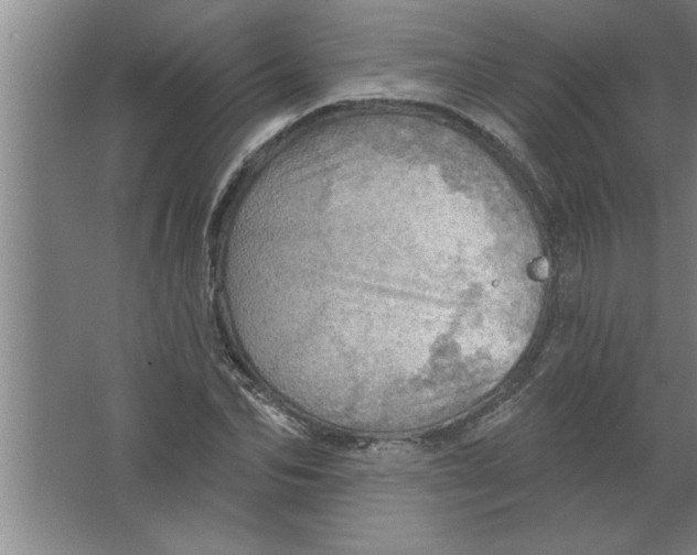 X0000067470974200604281850