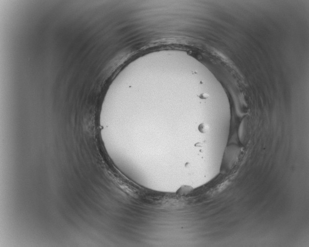 X0000067470977200604281850