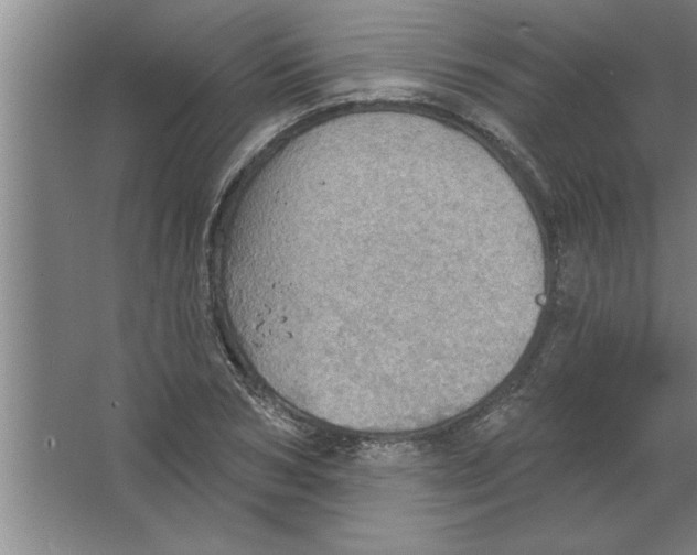 X0000067470978200604281850