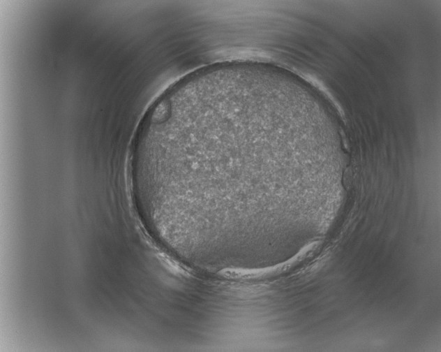 X0000067470983200604281849