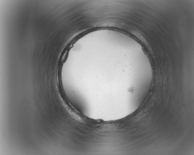 X0000067470984200604281849