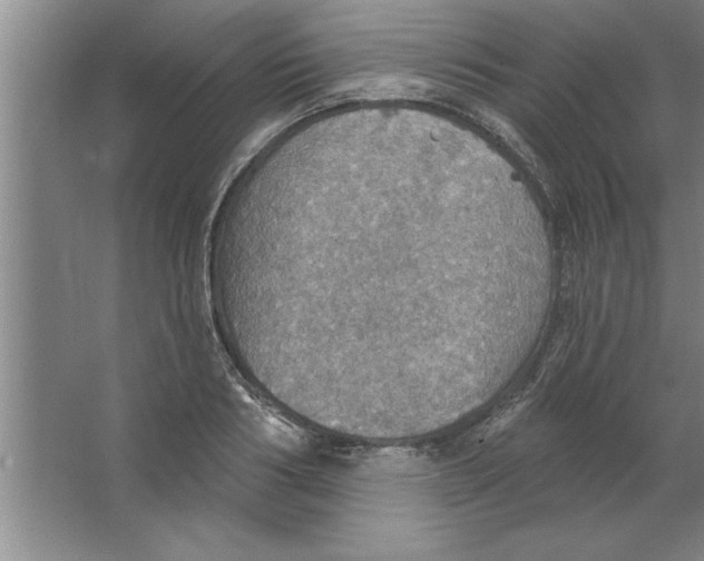 X0000067470986200604281849