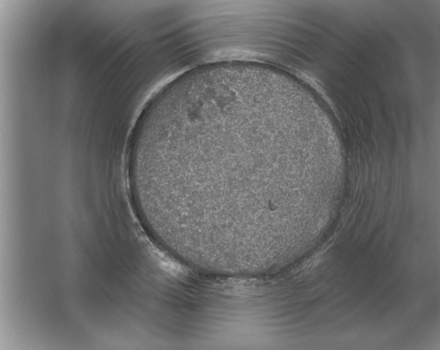 X0000067470987200604281849