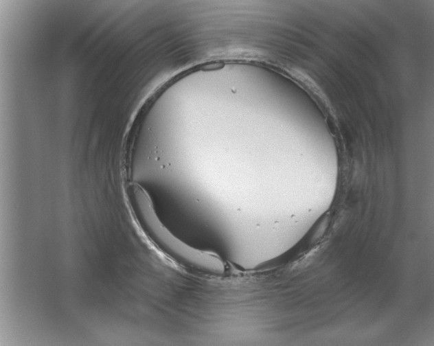 X0000067470989200604281849