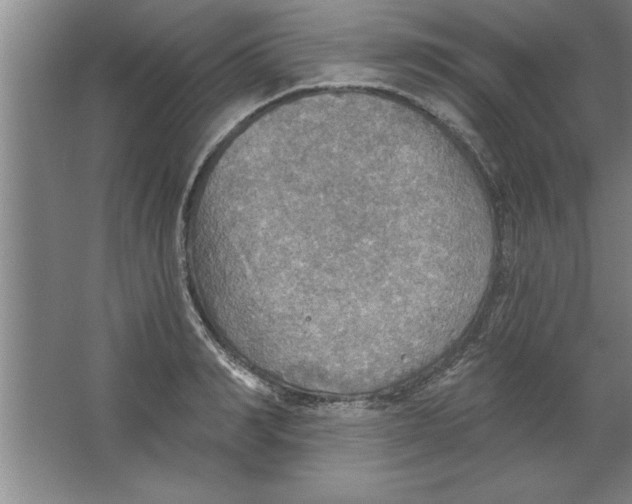 X0000067470990200604281849