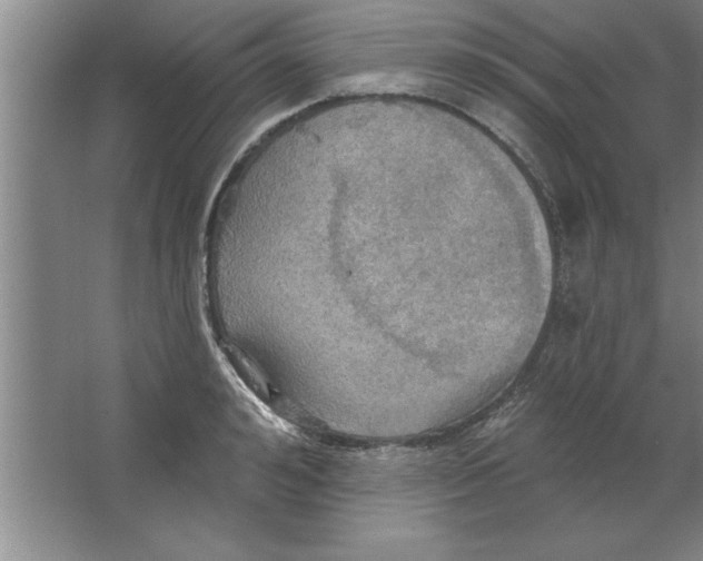 X0000067470992200604281849