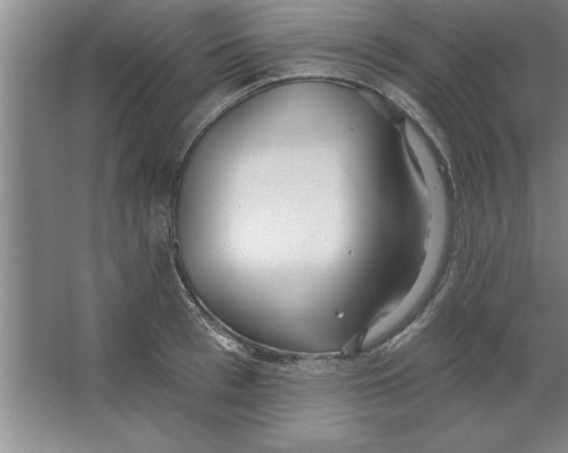 X0000067470993200604281849