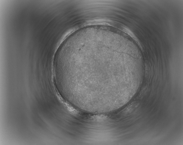 X0000067470994200604281849