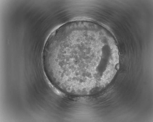 X0000067470995200604281849