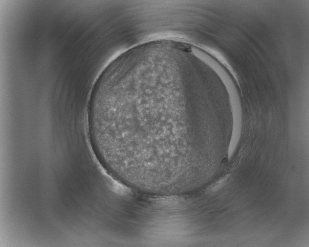 X0000067470999200604281849