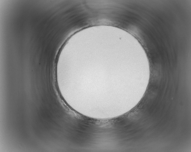 X0000067471000200604281849