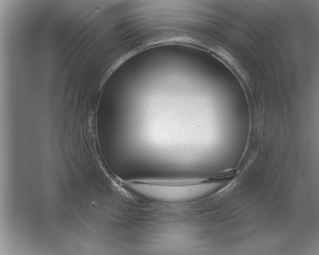 X0000067471001200604281849