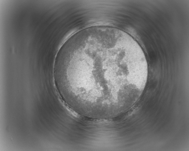 X0000067471002200604281849