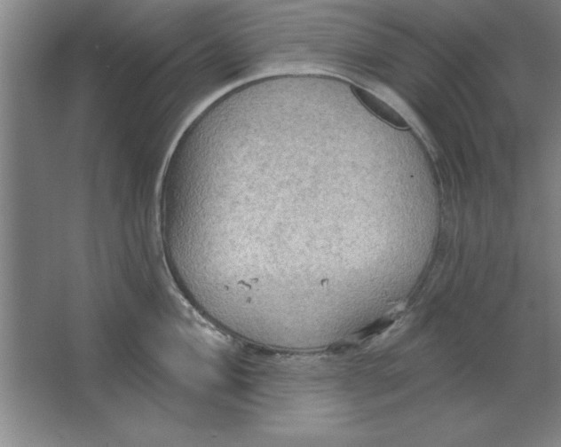 X0000067471004200604281849