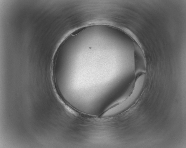 X0000067471005200604281849