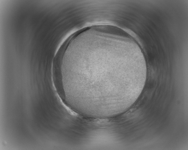 X0000067471006200604281849