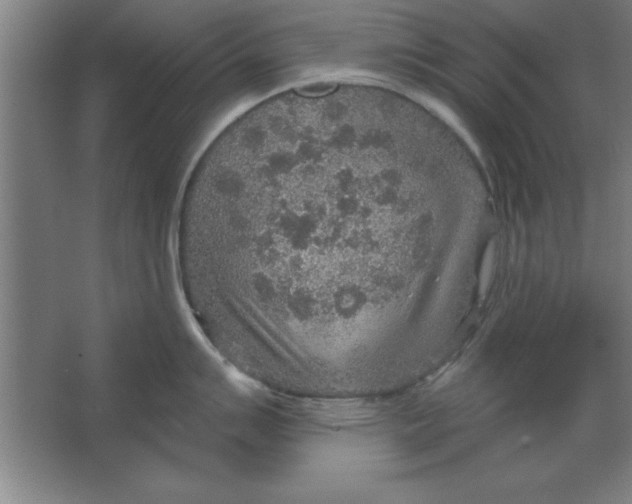 X0000067471007200604281849