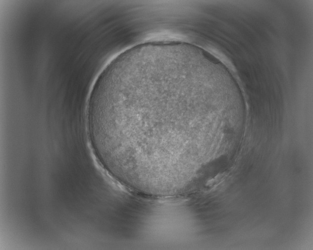 X0000067471008200604281849