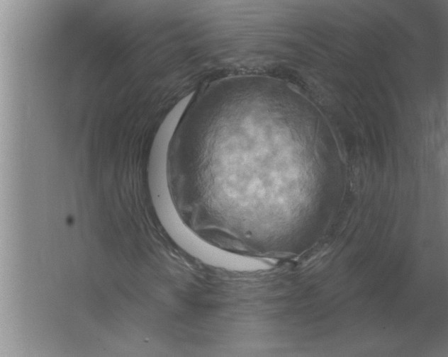 X0000067471010200604281848