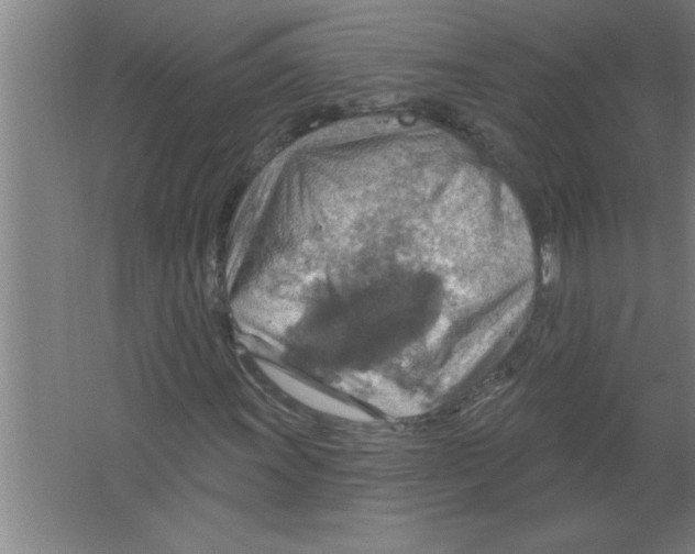 X0000067471011200604281848