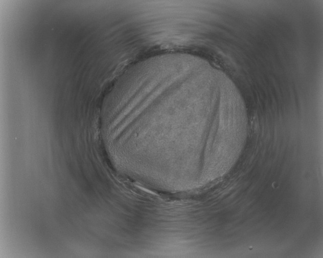 X0000067471012200604281848