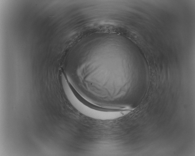 X0000067471013200604281848