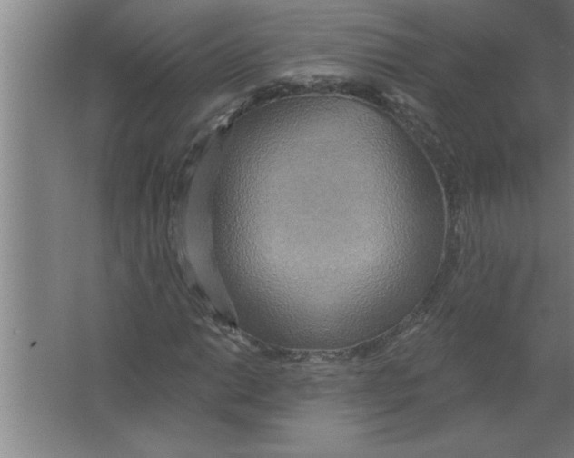 X0000067471014200604281848