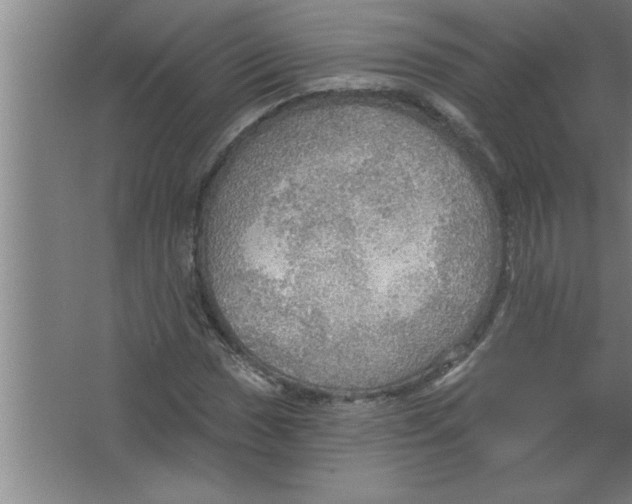 X0000067471017200604281848