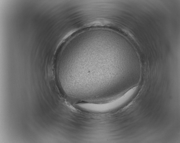 X0000067471018200604281848