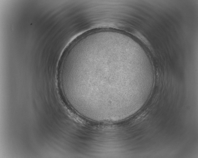 X0000067471020200604281848