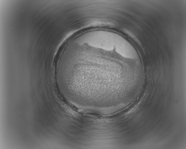 X0000067471021200604281848