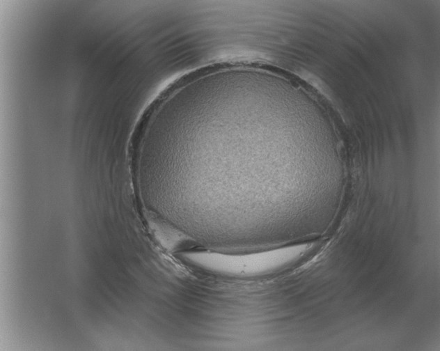 X0000067471022200604281848