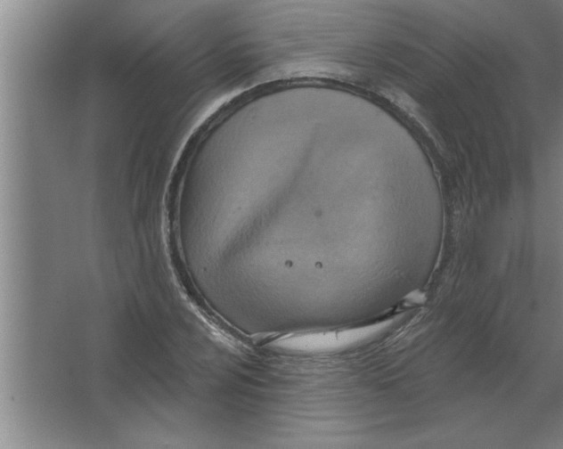 X0000067471024200604281848