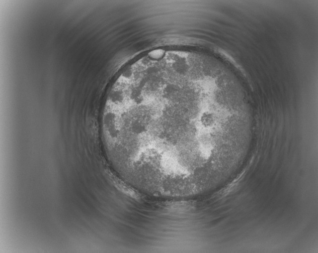 X0000067471025200604281848