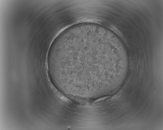 X0000067471028200604281849