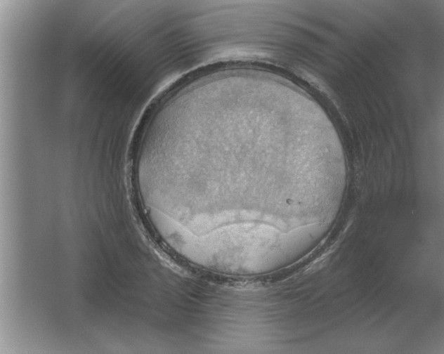 X0000067471029200604281849