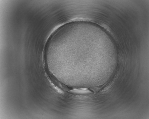 X0000067471030200604281849