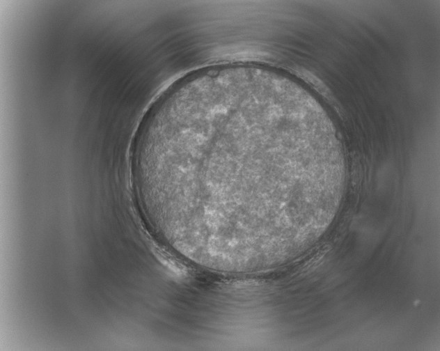 X0000067471031200604281849