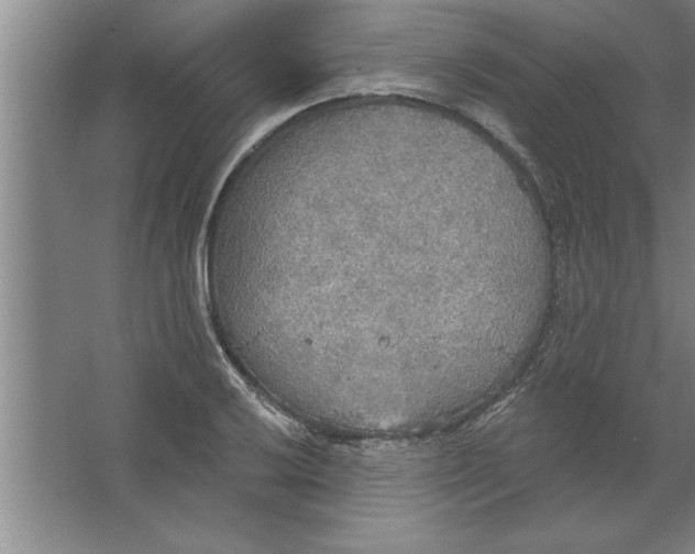 X0000067471032200604281849