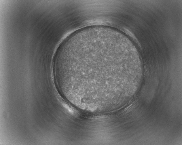 X0000067471035200604281849