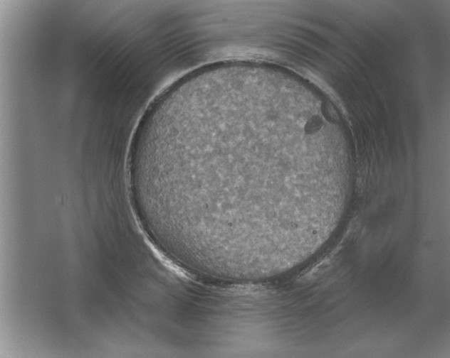 X0000067471037200604281849