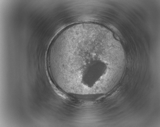 X0000067471039200604281849