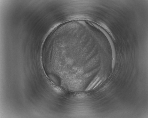 X0000067471043200604281849