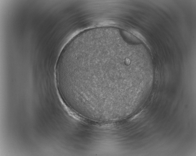 X0000067471047200604281849