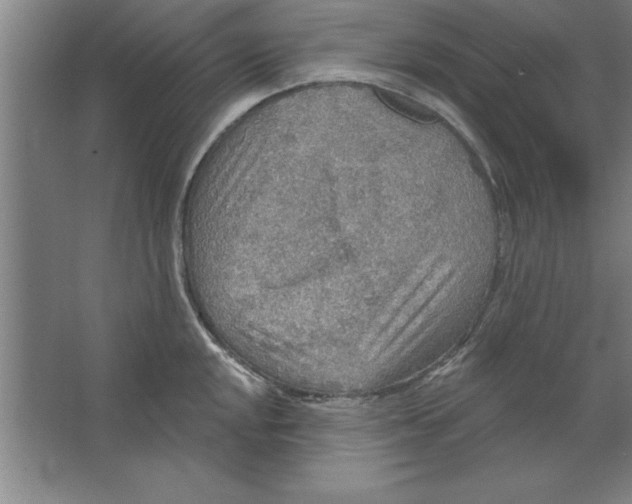 X0000067471048200604281849