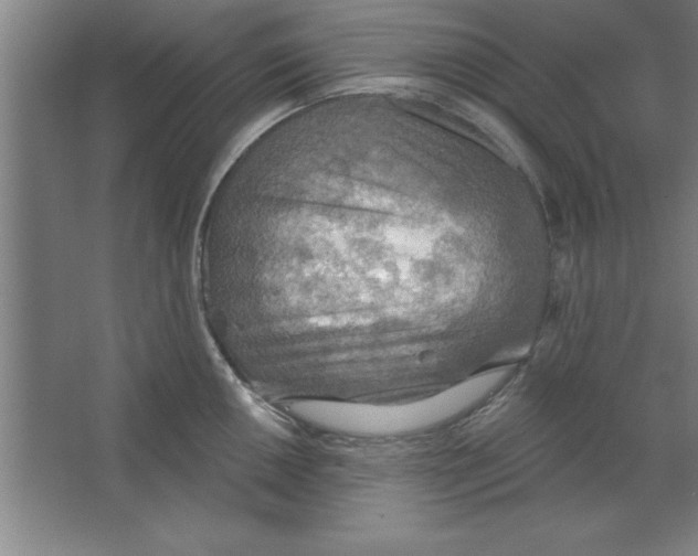 X0000067471050200604281849