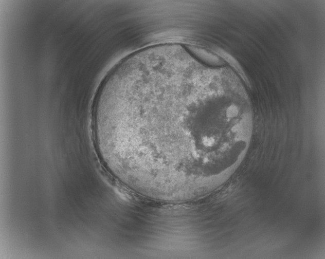 X0000067471051200604281849